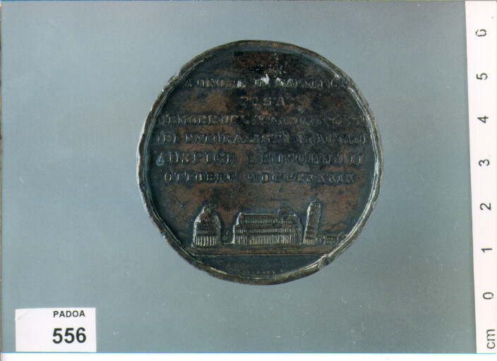 MEDAGLIA di CINGANELLI P, NIDEROST G (SEC. XIX D.C)