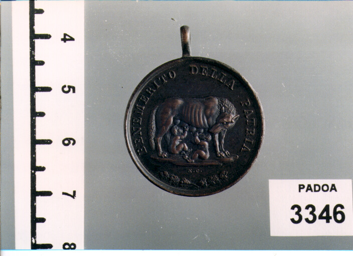 MEDAGLIA di CERBARA NICCOLO' (SEC. XIX D.C)