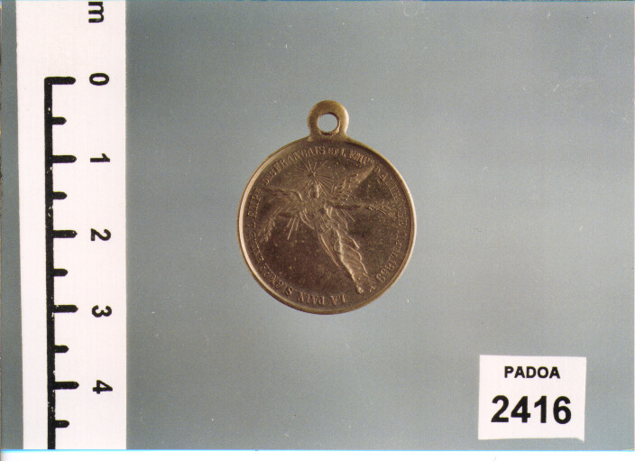 MEDAGLIA (SEC. XIX D.C)