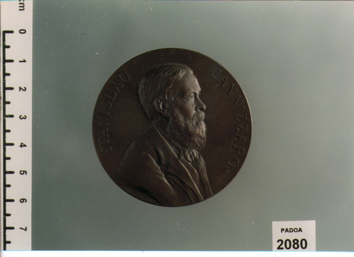 MEDAGLIA di Giani Giovanni (SEC. XIX D.C)