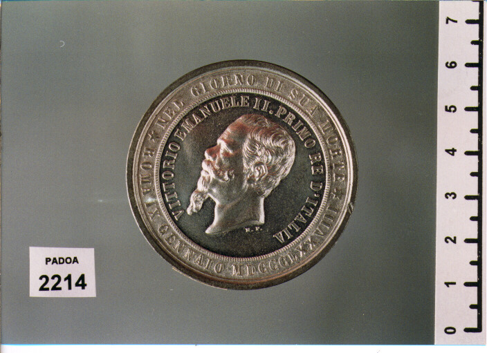 MEDAGLIA di FARNESI ADOLFO DI NICOLA (SEC. XIX D.C)