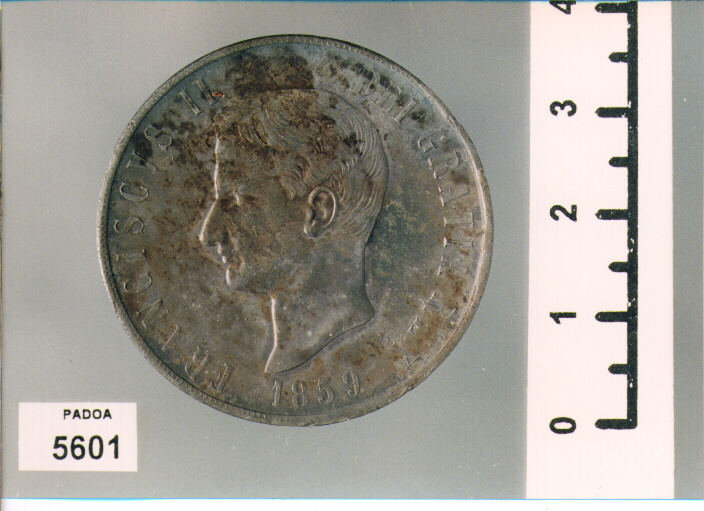 GRANA 120 (PIASTRA) (SEC. XIX D.C)