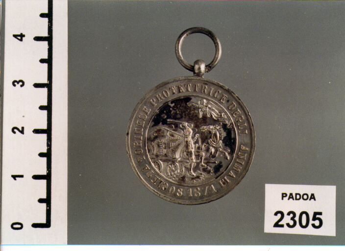 MEDAGLIA (SEC. XIX D.C)