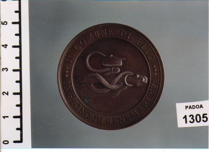 MEDAGLIA di JOHNSON STEFANO (SEC. XIX D.C)