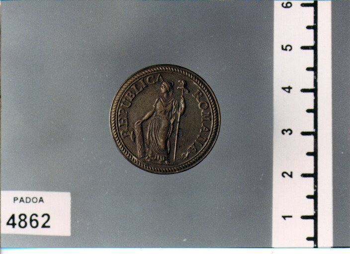 BOTTONE (SEC. XIX D.C)