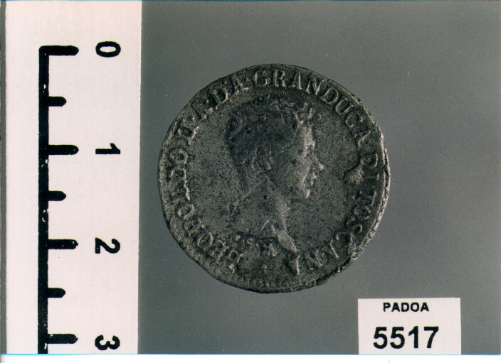 FIORINO (SEC. XIX D.C)