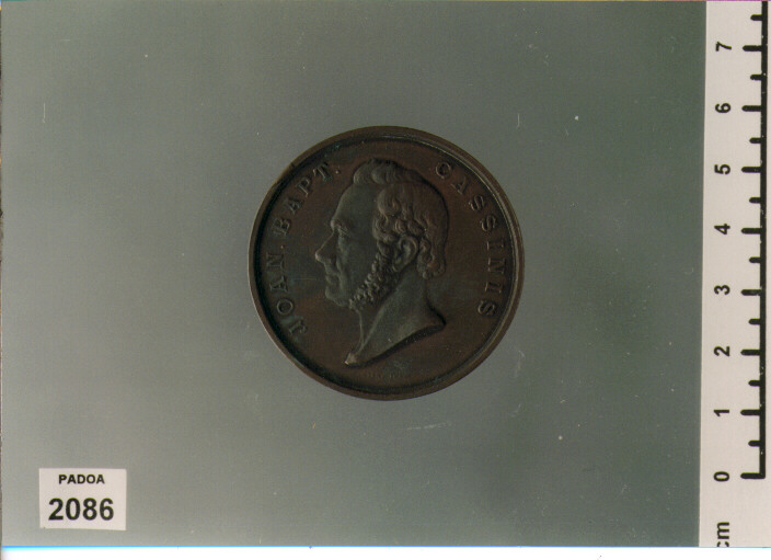 MEDAGLIA di Giani Giovanni (SEC. XIX D.C)