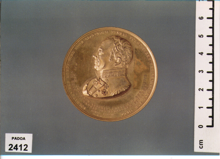 MEDAGLIA (SEC. XIX D.C)