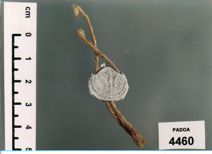 PIOMBO DOGANALE (SEC. XIX D.C)