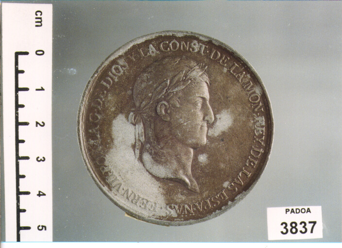 MEDAGLIA (SEC. XIX D.C)