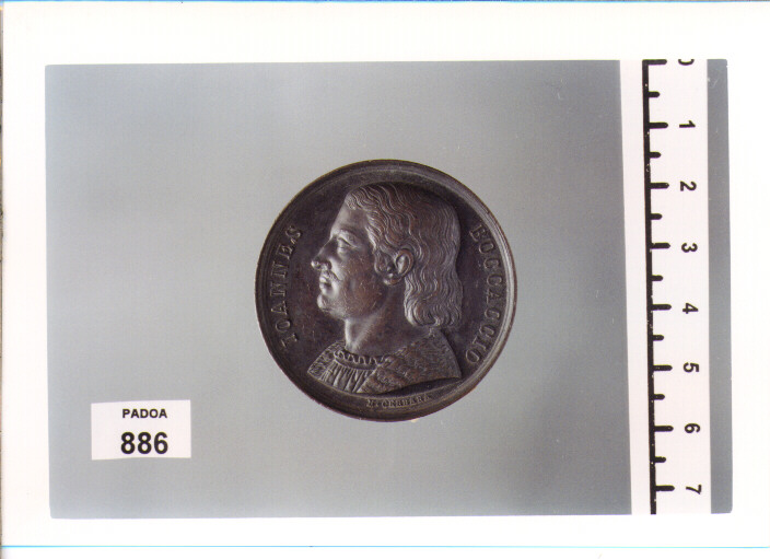 MEDAGLIA di CERBARA NICCOLO' (SEC. XIX D.C)