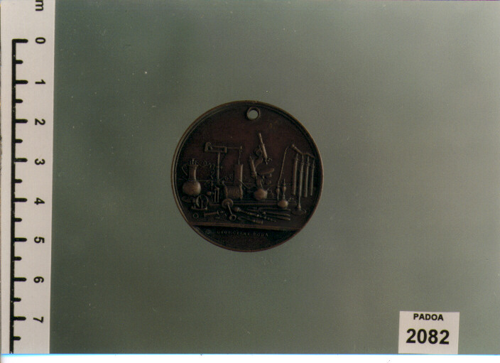 MEDAGLIA di Giani Giovanni (SEC. XIX D.C)
