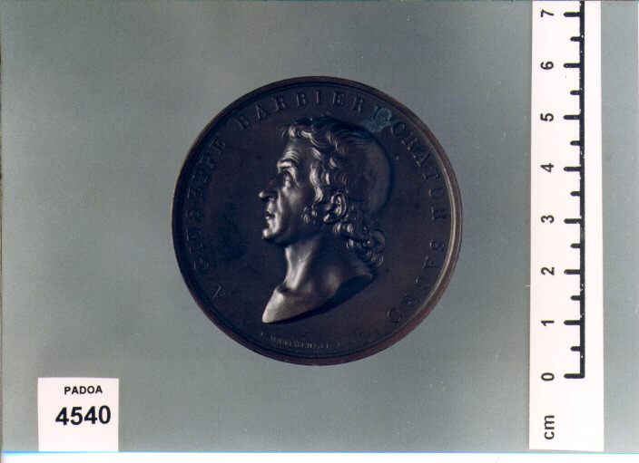 MEDAGLIA di Manfredini Luigi (SEC. XIX D.C)