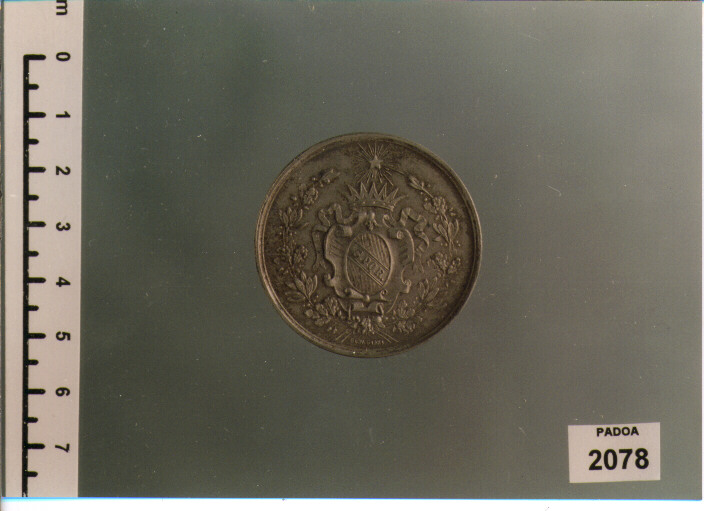 MEDAGLIA di Giani Giovanni (SEC. XIX D.C)