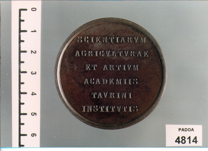 MEDAGLIA di LAVY (SEC. XIX D.C)