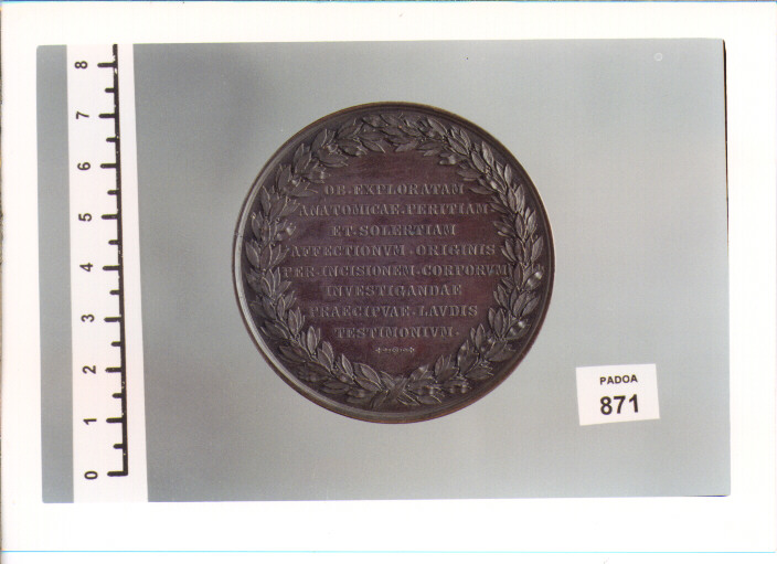 MEDAGLIA di CERBARA NICCOLO' (SEC. XIX D.C)