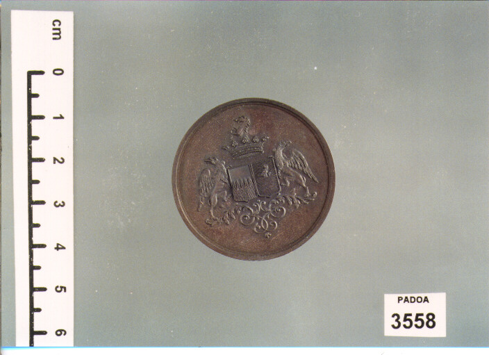 MEDAGLIA (SEC. XIX D.C)