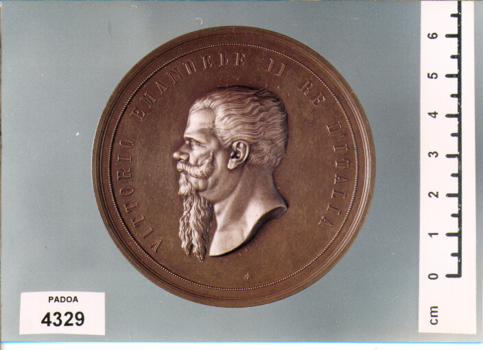 MEDAGLIA (SEC. XIX D.C)