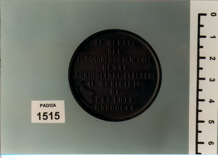 MEDAGLIA di PIERONI ADOLFO (SEC. XIX D.C)