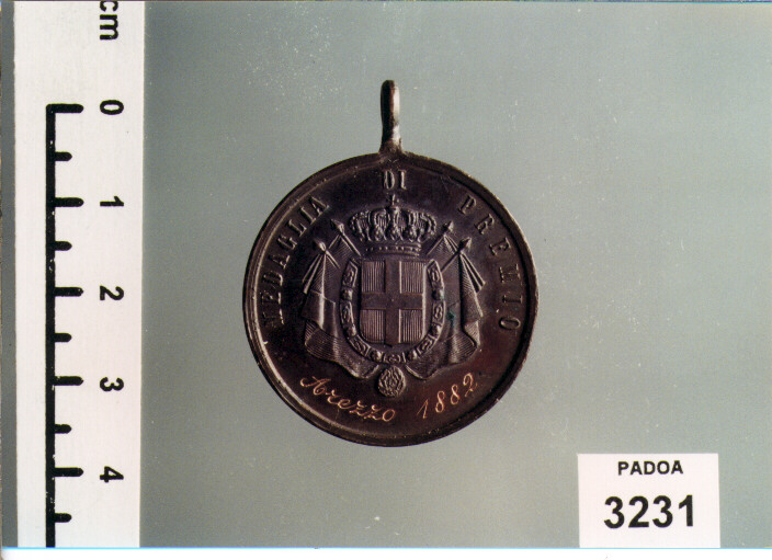 MEDAGLIA (SEC. XIX D.C)