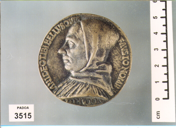 MEDAGLIA (SEC. XIX D.C)