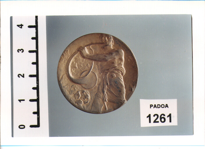 MEDAGLIA di Reduzzi Cesare, JOHNSON STEFANO (SEC. XX D.C)