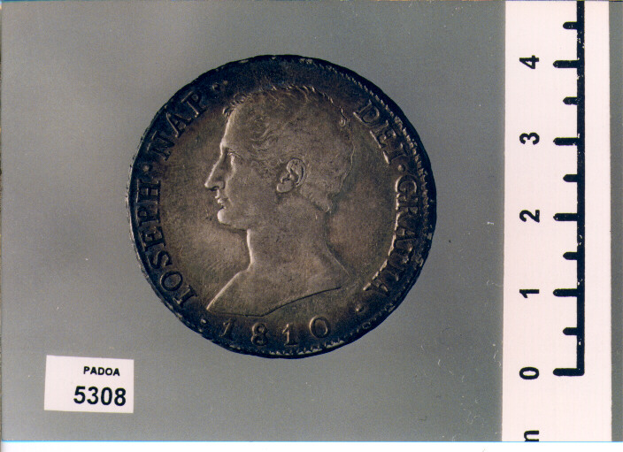 SCUDO 1 (SEC. XIX D.C)