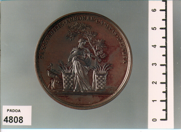 MEDAGLIA di LAVY (SEC. XIX D.C)