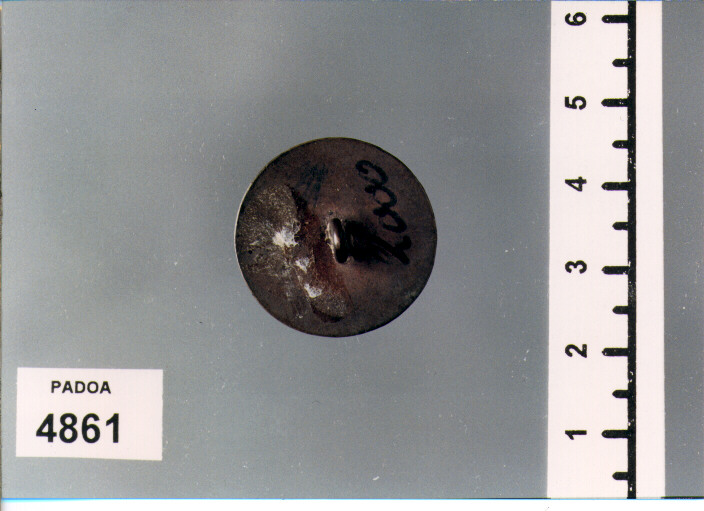 BOTTONE (SEC. XIX D.C)