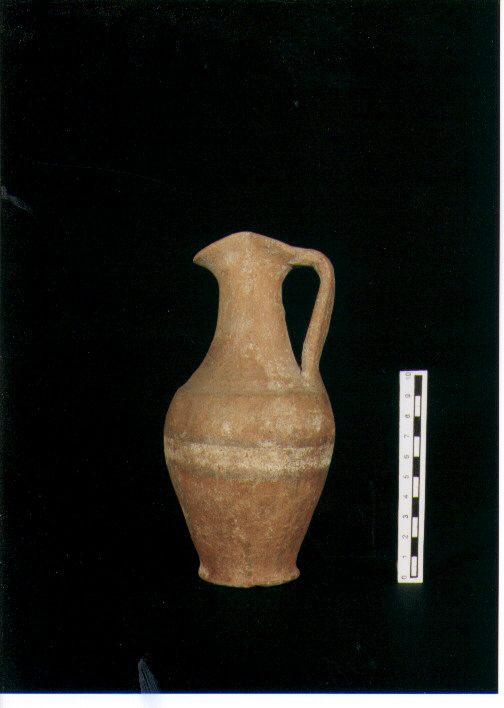 Brocchetta bilobata