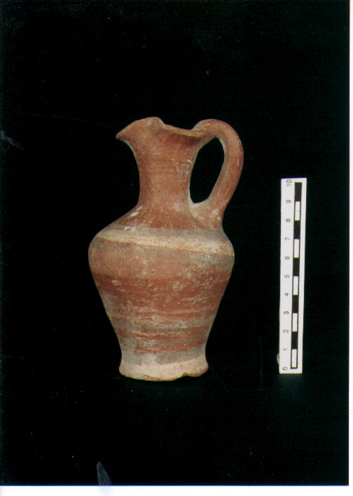 Brocchetta trilobata