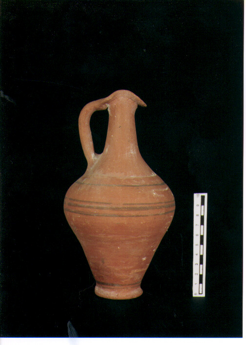 Brocchetta bilobata