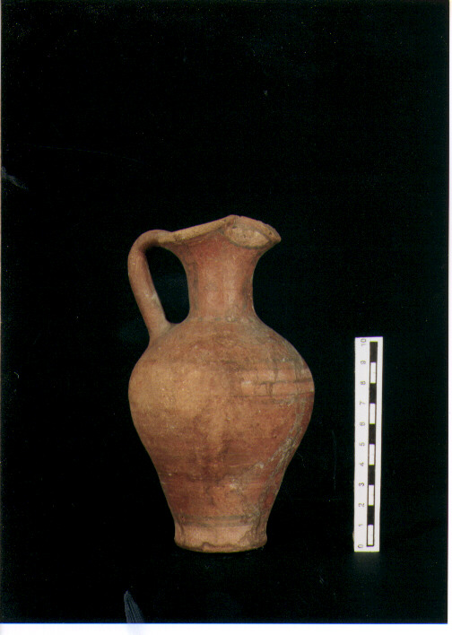 Brocchetta trilobata