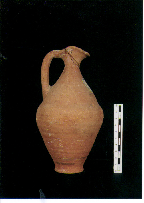 Brocchetta bilobata