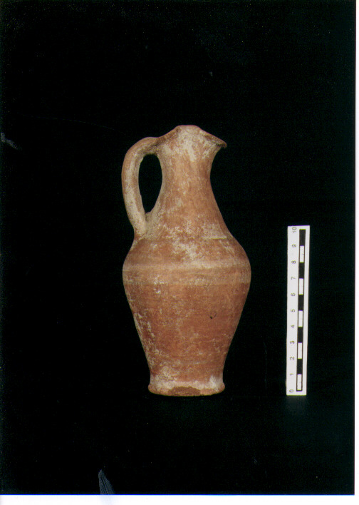 Brocchetta bilobata