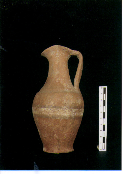 Brocchetta bilobata