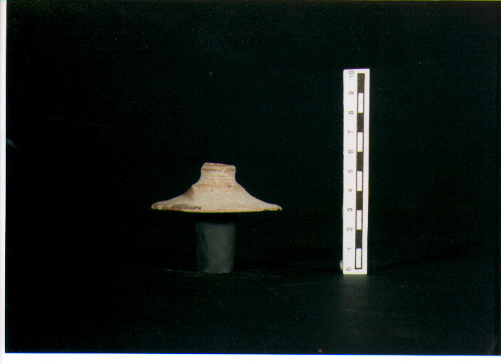 Coperchio miniaturistico