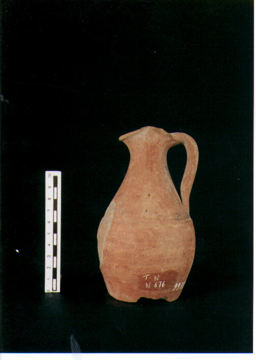 Brocchetta bilobata