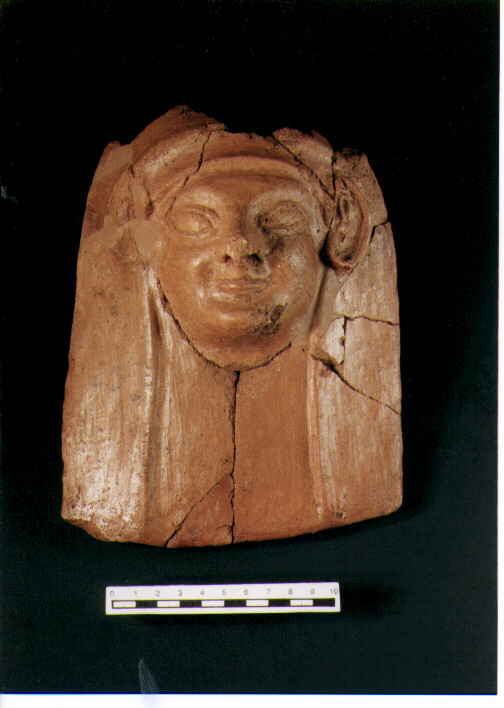 Testa