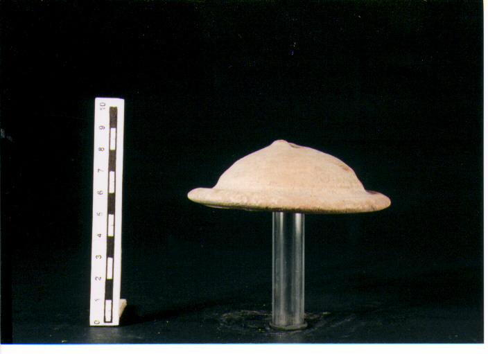 Coperchio