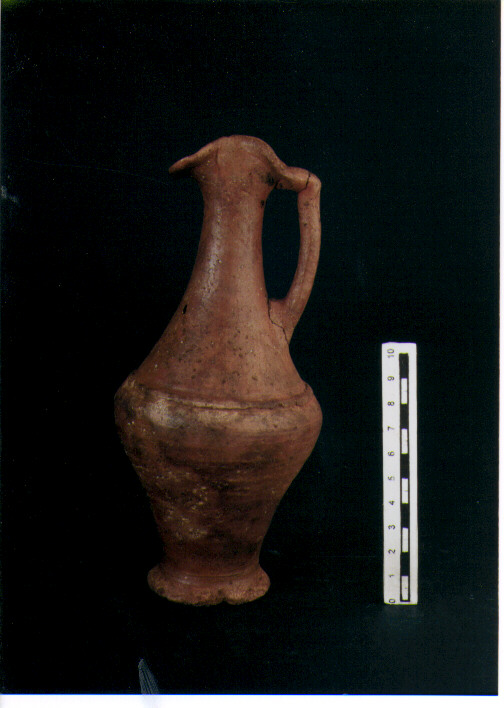 Brocchetta bilobata