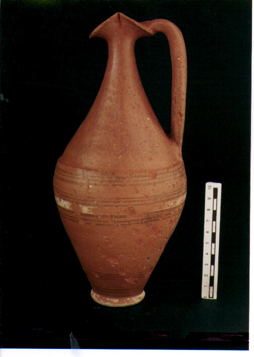 Brocchetta bilobata