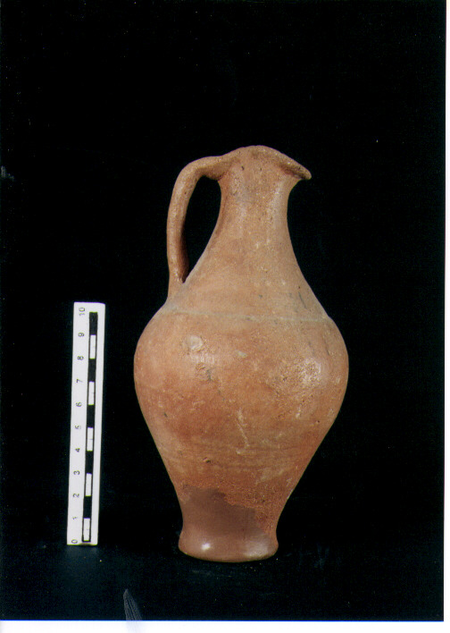 Brocchetta bilobata