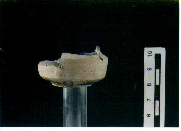Coppa miniaturistica