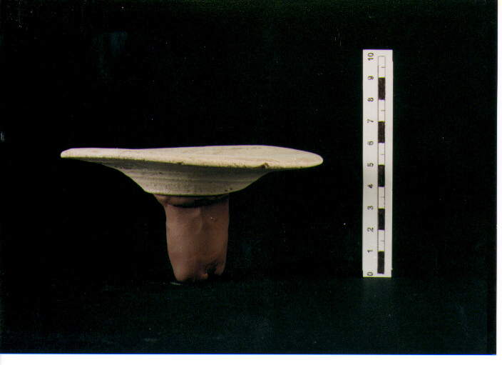 Piatto