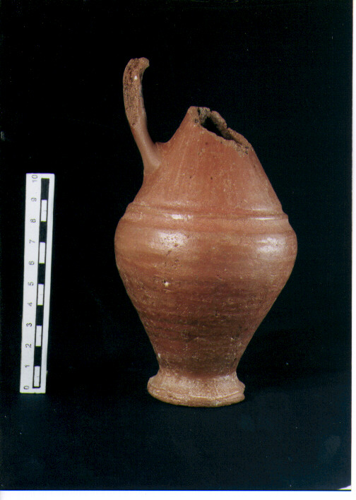 Brocchetta bilobata
