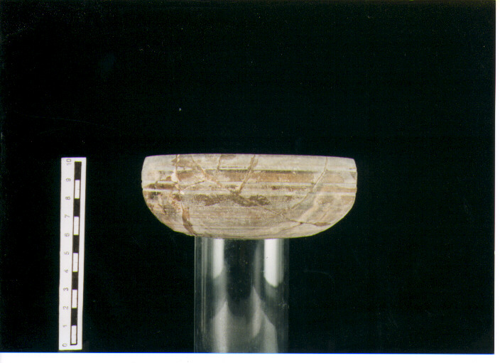 Coppa. mayet xxxiii