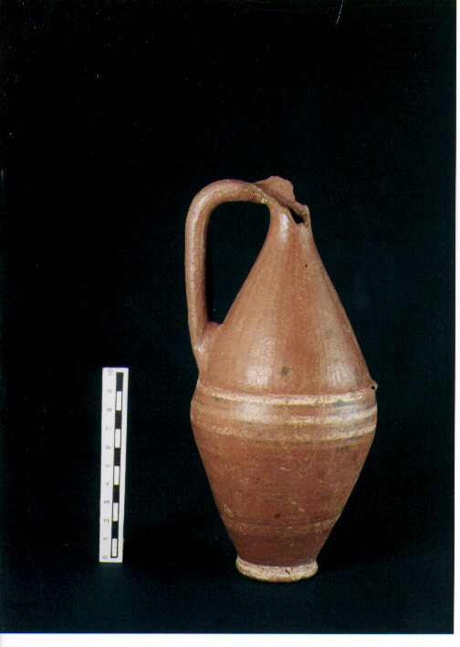 Brocchetta bilobata