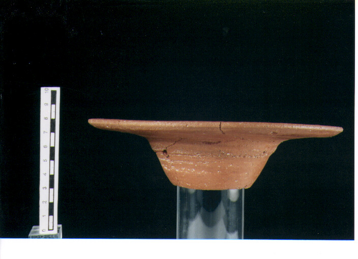 Piatto