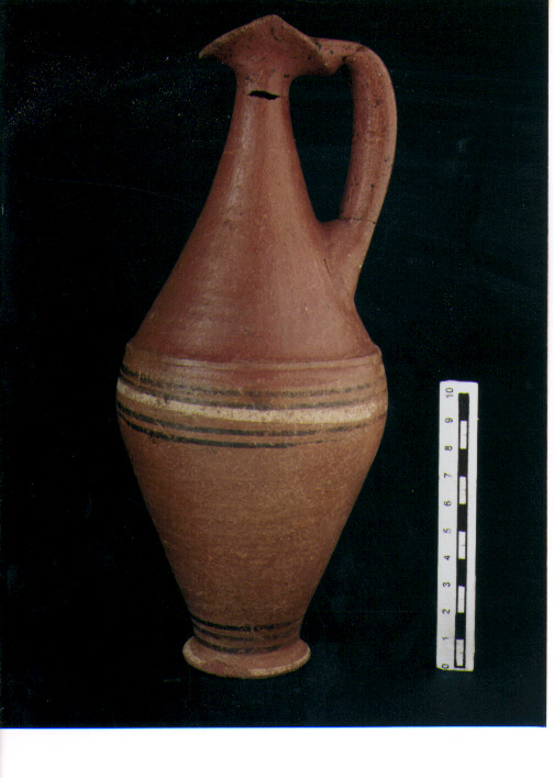 Brocchetta bilobata